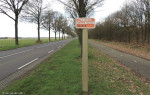 Daarle